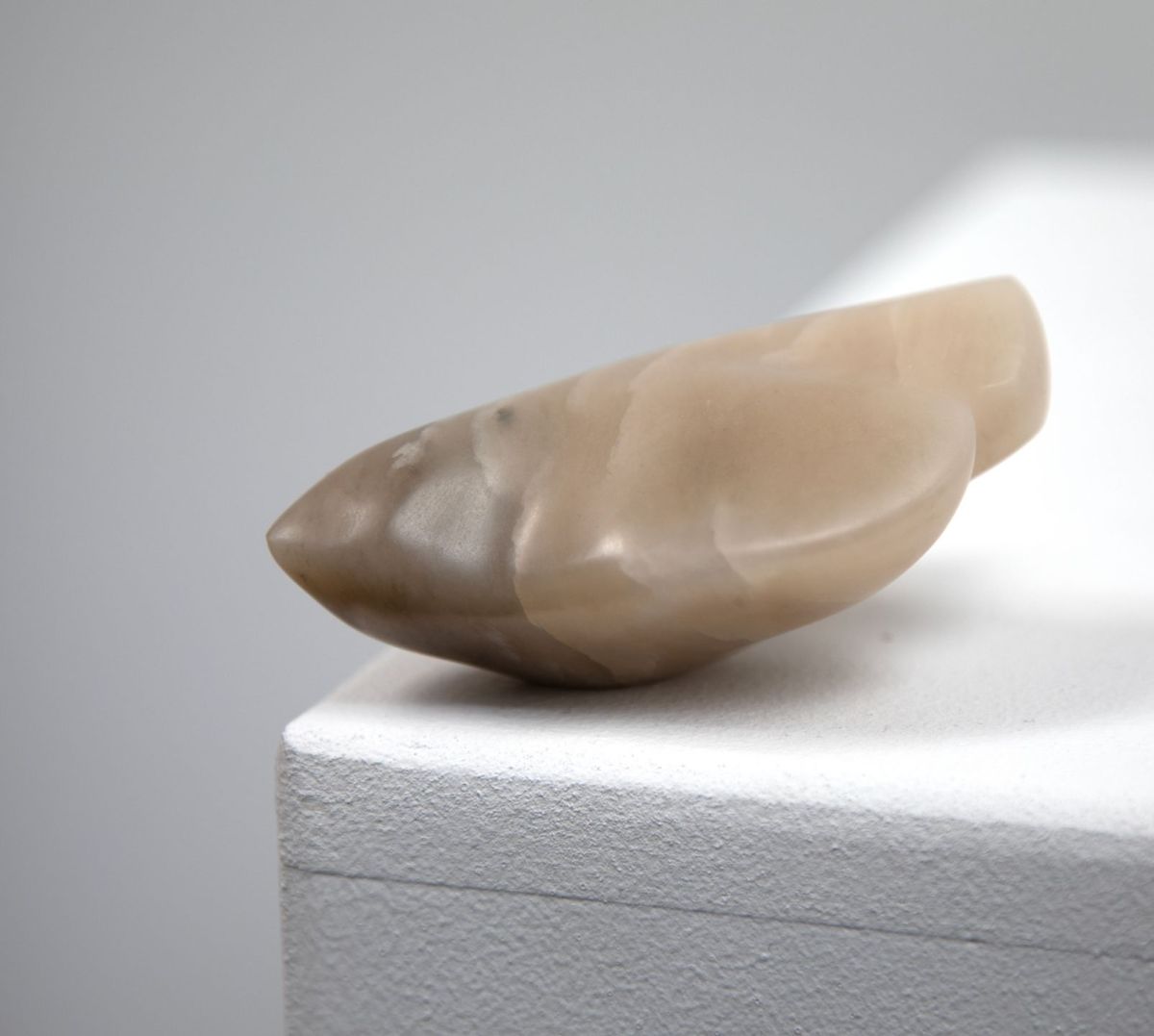 a bird in the hand by siobhan morison