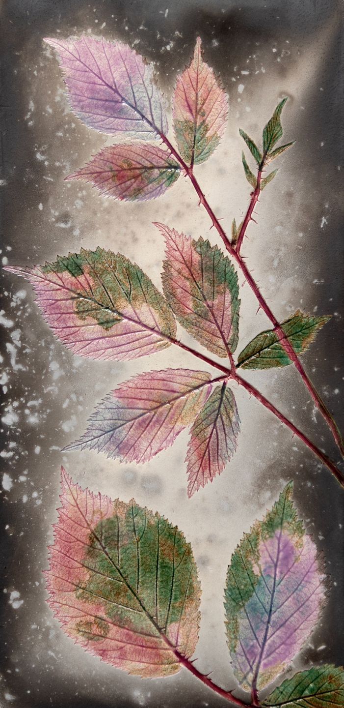 pink autumn bramble by helen michie