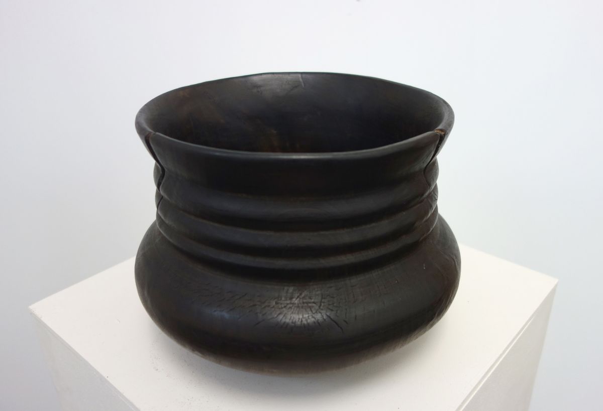 Home Grown Willow | John Hodgson