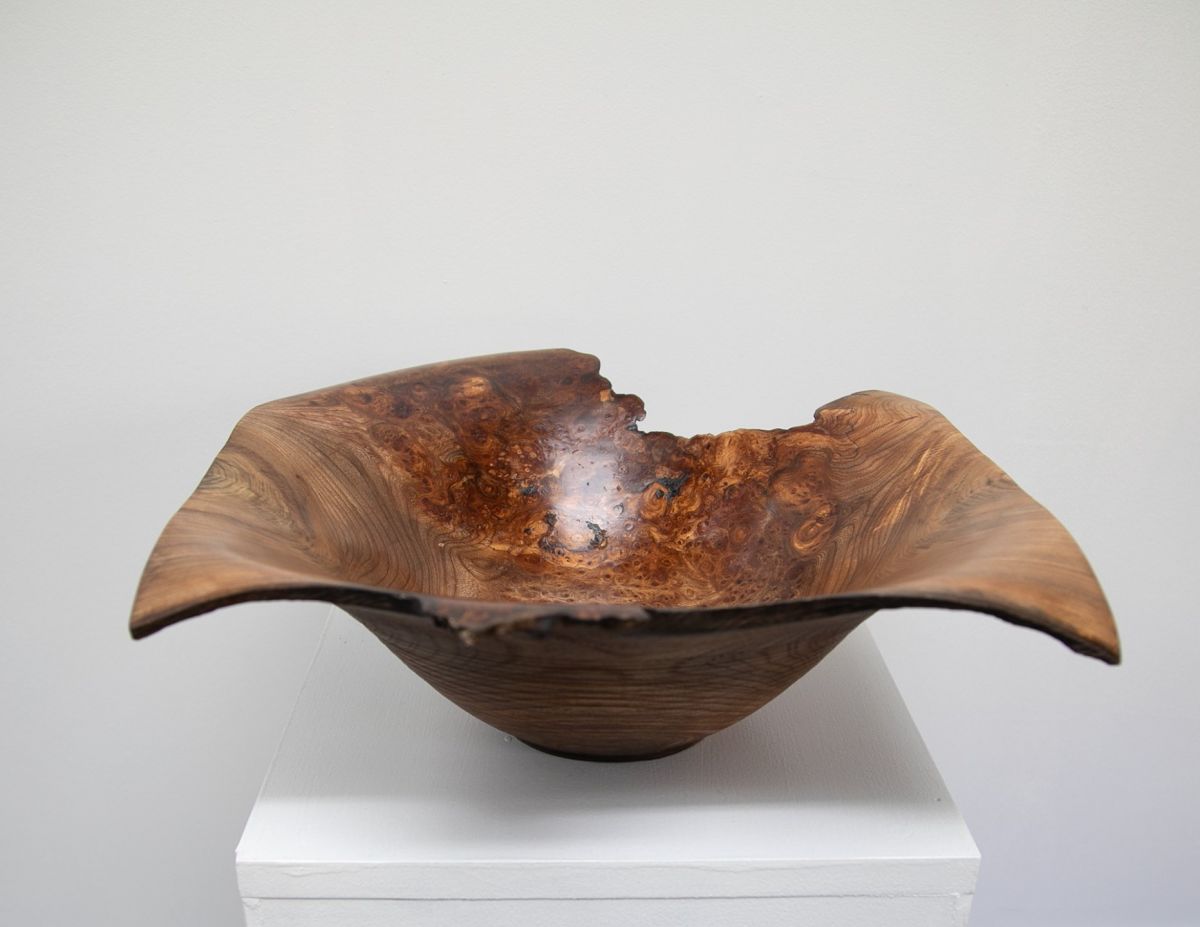 Wych Elm from Fuinary | John Hodgson