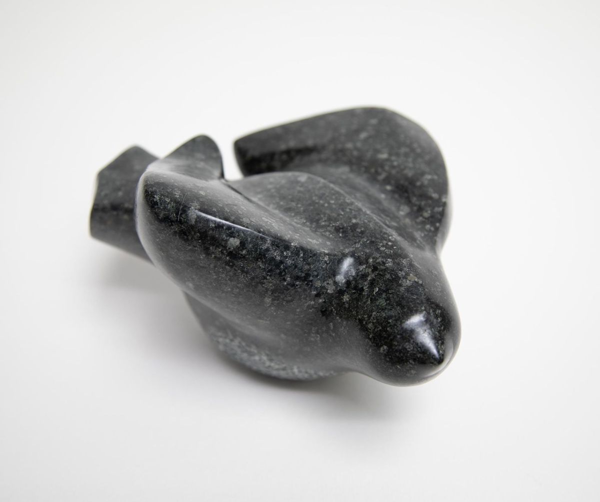 turning by siobhan morison