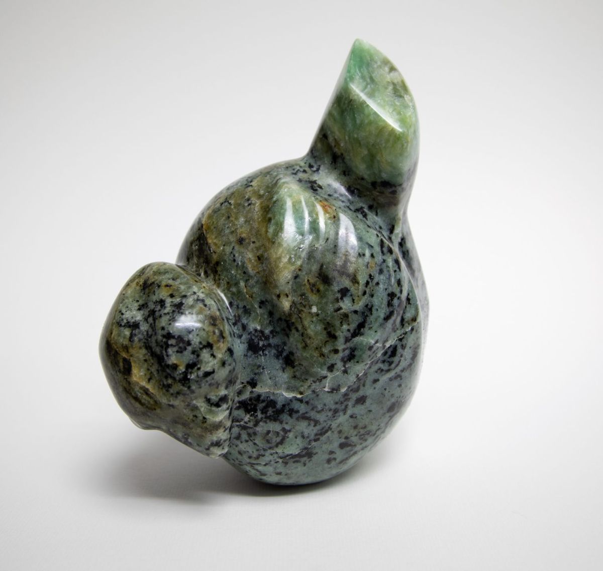 curious by siobhan morison