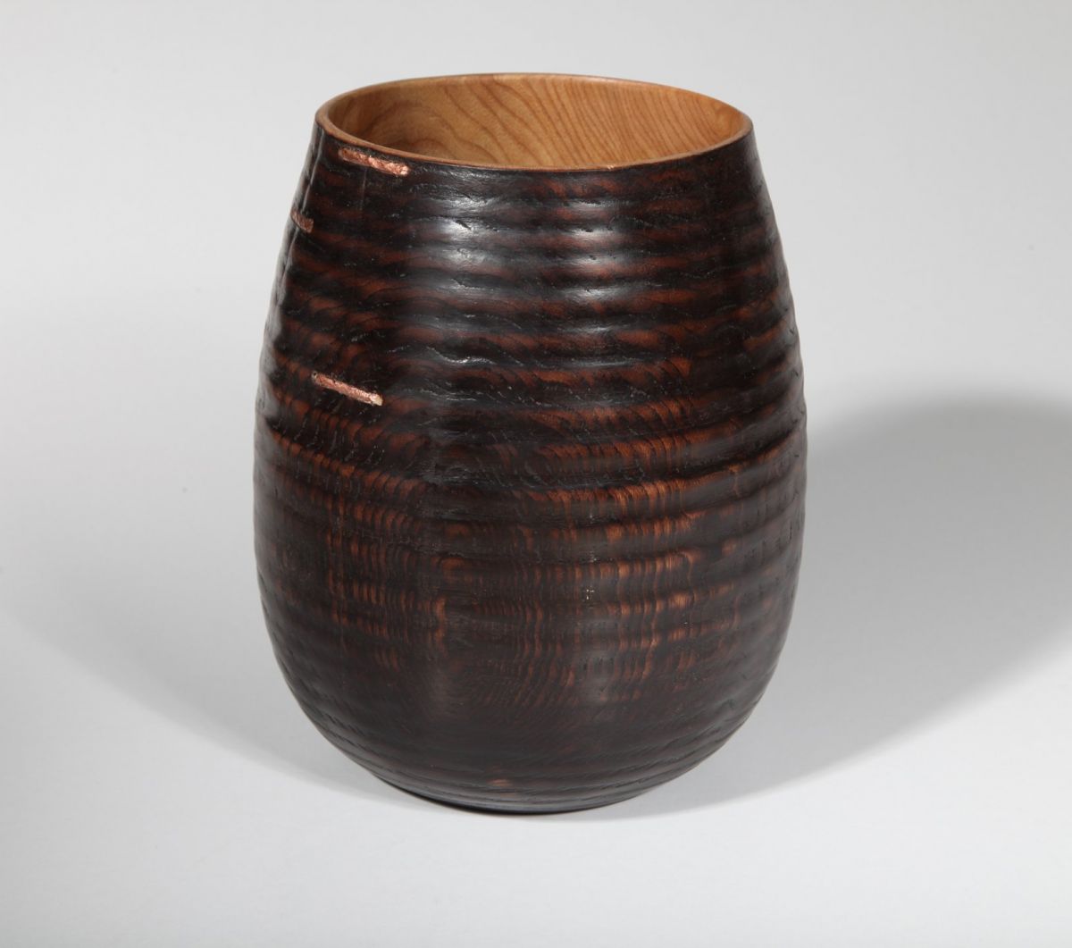 Wych Elm from Morvern | John Hodgson