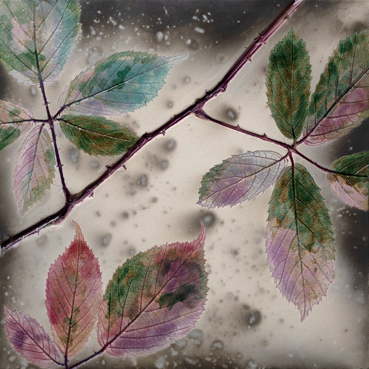 bramble colours by helen michie