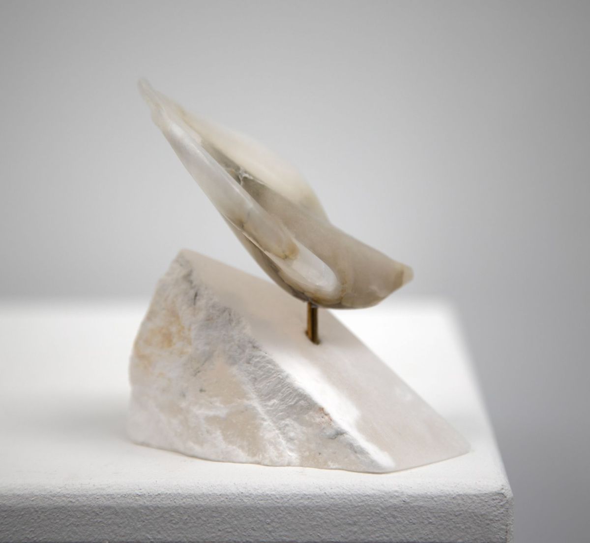 ice dive by siobhan morison