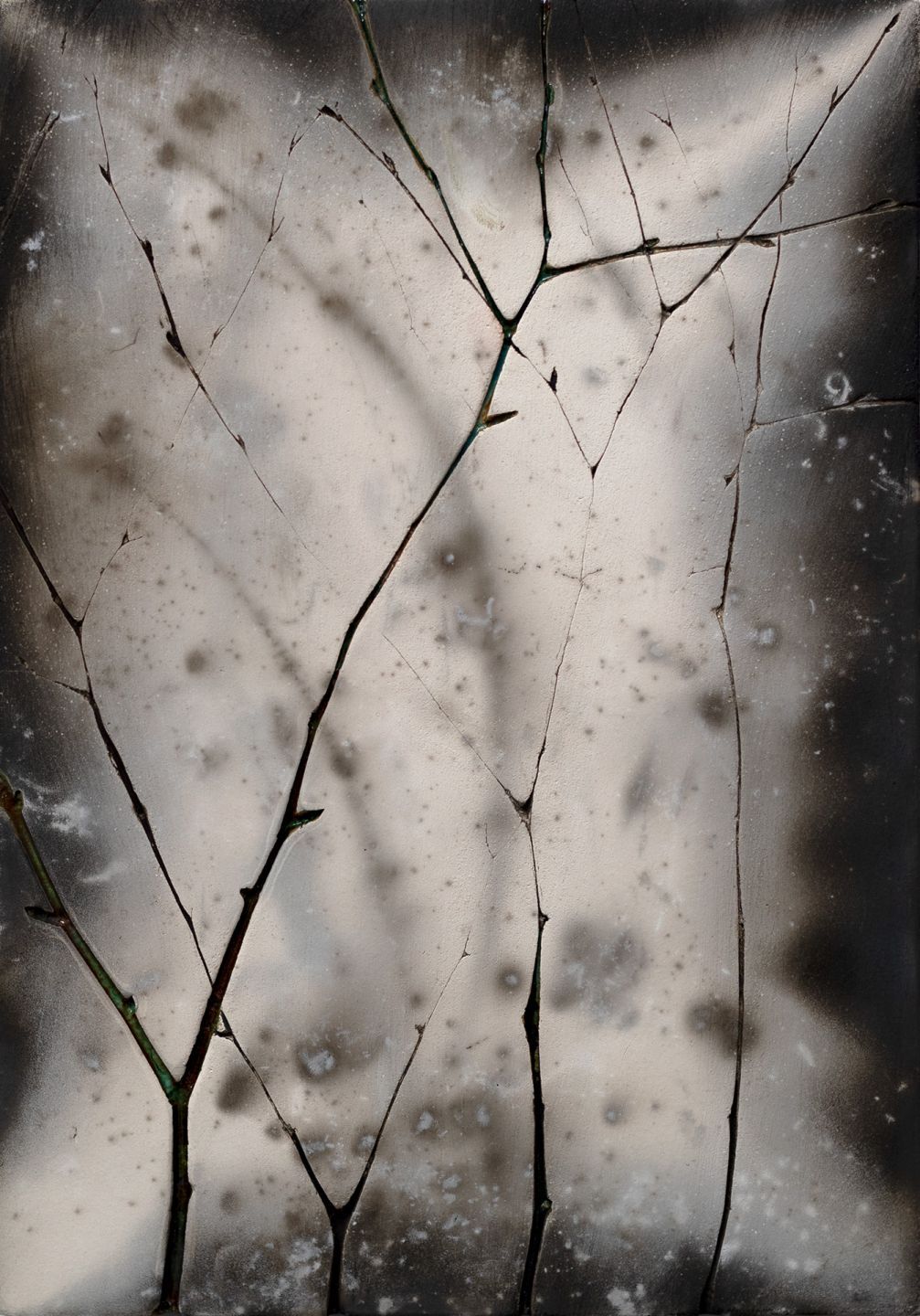 winter birch III by helen michie