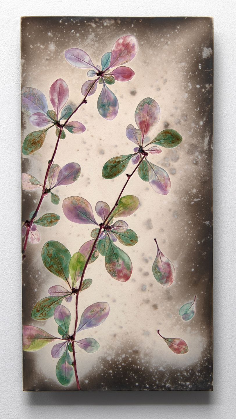 summer berberis III by helen michie