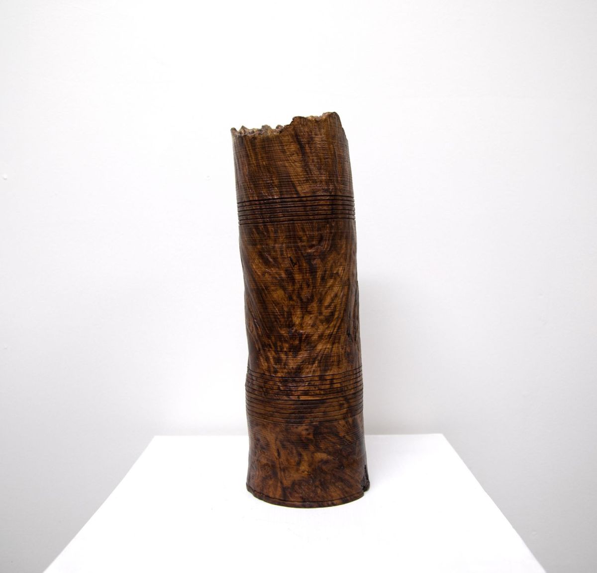 oak burr from morvern by john hodgson