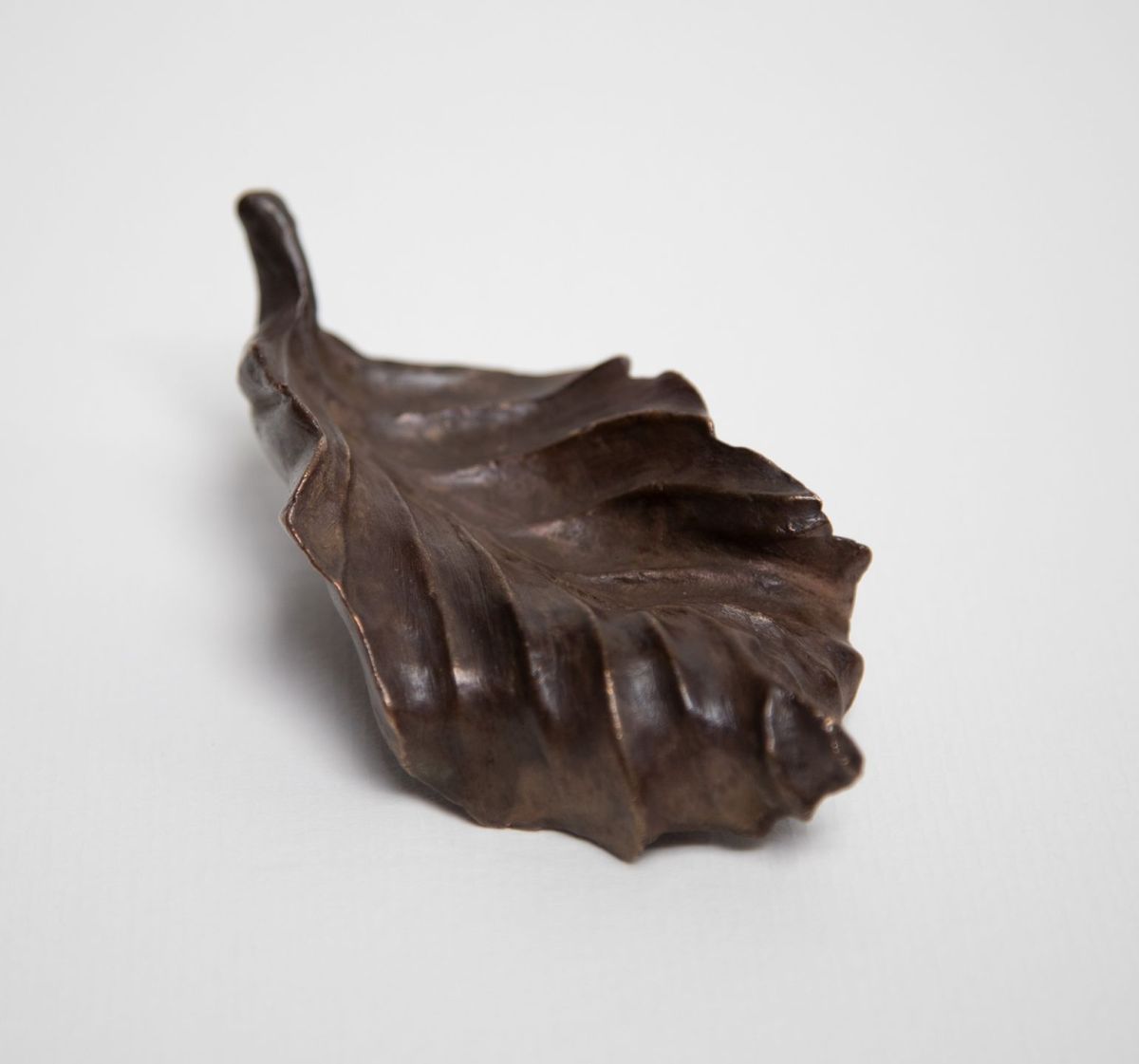 big leaf by siobhan morison