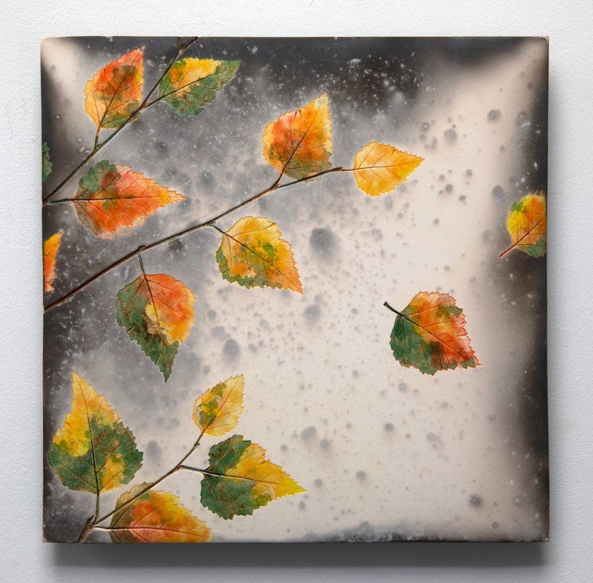 birch in autumn by helen michie