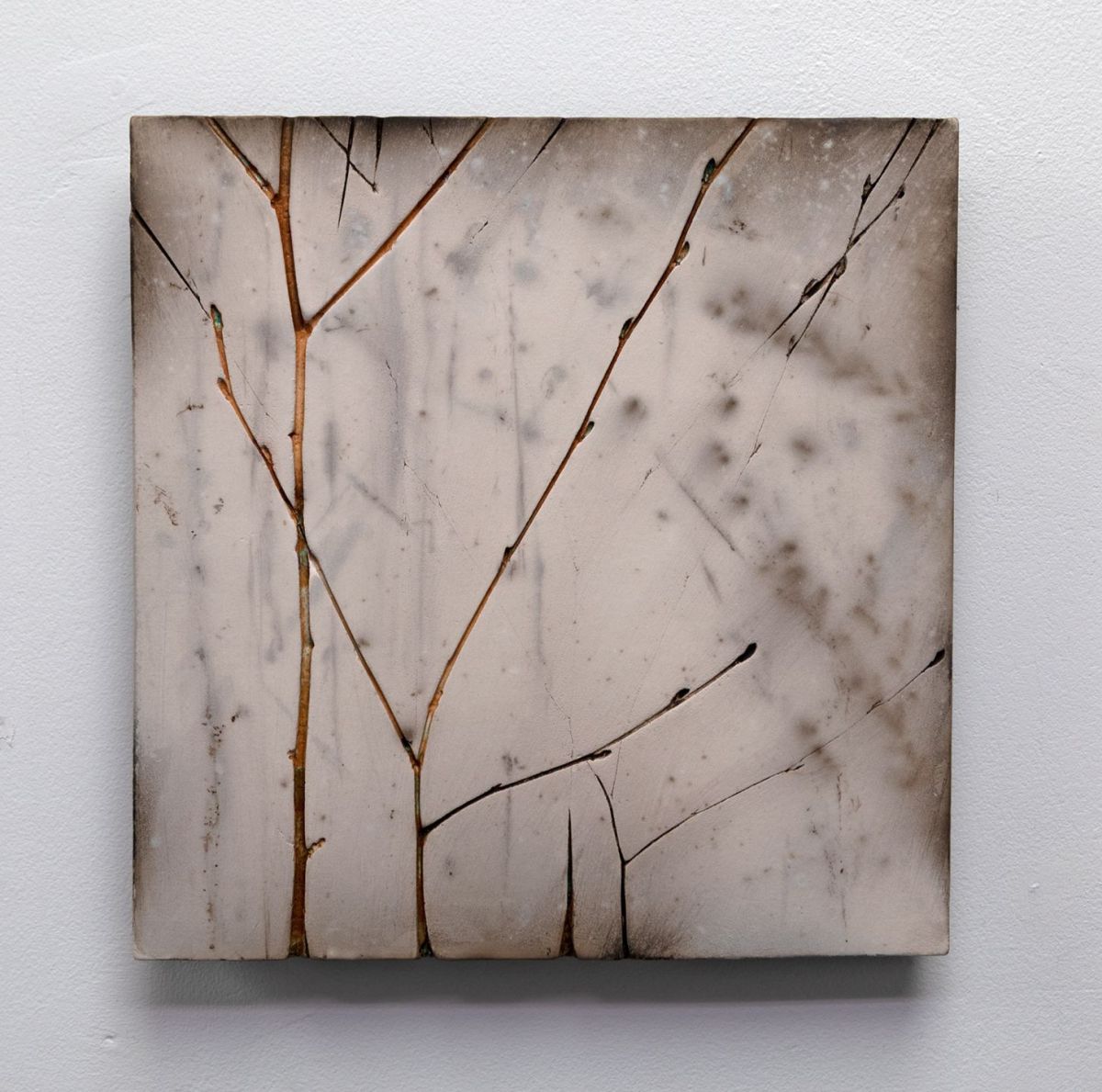 winter birch v by helen michie